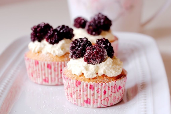 Emulsivos da padaria - Improver/emulsivo compostos do bolo - pó branco - GB2760