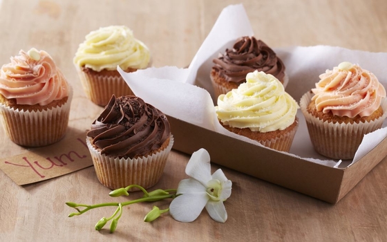 Os emulsivos naturais lisos do alimento endurecem o óleo 20kg do bolo do SP do Improver/gel amarelado do tambor