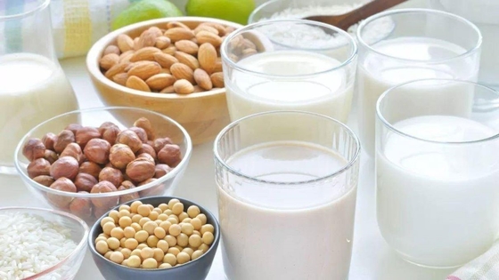 205-526-6 glicerol natural Monolaurate Monolaurin GML E471 dos emulsivos do alimento