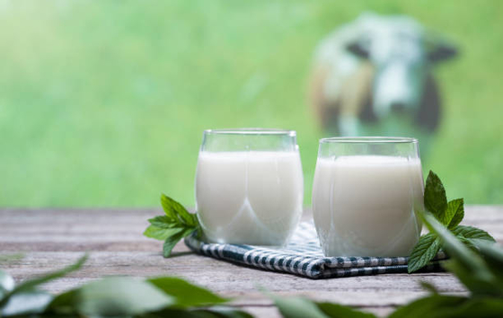 Os emulsivos e os estabilizadores do aditivo de alimento DMG95 impedem a estratificação possível no leite