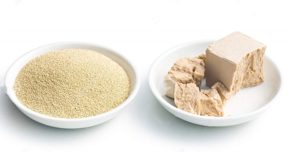 Monoglyceride do emulsivo GMS 50% do alimento E471 para o bolo, pão, confeitos