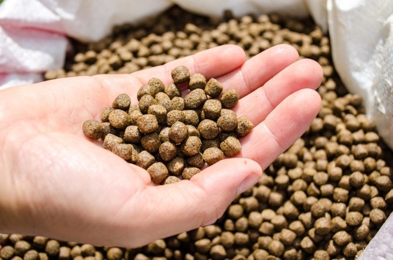 Aditivos da alimentação de Monolaurate GML do glicerol da pureza de 90%