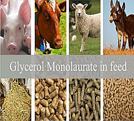 Aditivos da alimentação: O glicerol Monolaurate GML80 pulveriza para o animal