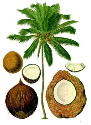 Emulsivo antienvelhecimento E471 GMS 40 mono e dos Diglycerides